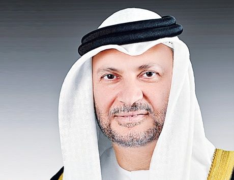 وزير اماراتي يصف دور بلاده باليمن بـ"دور دولة بجسد وسواعد وأسنان"