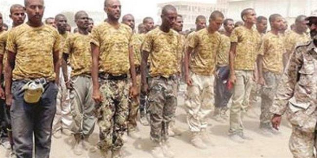 تدريب وتشكيل لواء الحزم بـ5 آلاف مقاتل للانضمام للجيش اليمني بعدن