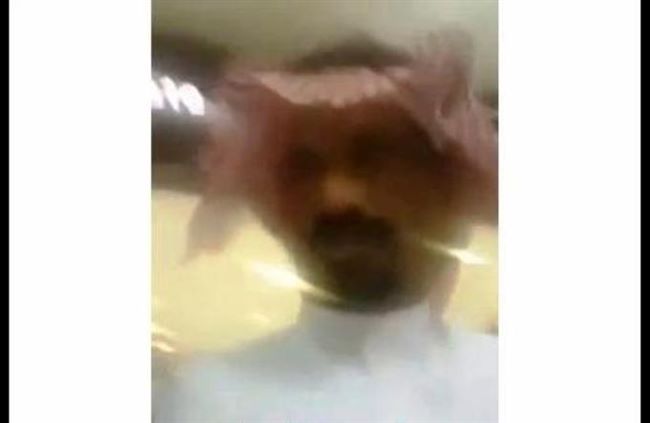 بالفيديو..أول تصريح للقنصل السعودي العائد من قبصة القاعدة باليمن 